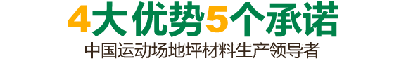 4大優(yōu)勢(shì)5個(gè)承諾